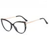 Solglasögon 2024 Fashion Trend TR90 Anti-Blue Cat Eye Flat Lens Plain Frame Glasses Women Anti Blue Light Glass Clear