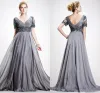 Vintage Trendy Mother Off Bride Dresses Zipper A Line V Neck Appliques Chiffon Vestidos Dresses Evening Wear Gray mother of the bride