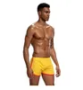 Unterhosen PS Marke Mesh Unterwäsche Männer Boxer Homme Cueca Boxer Shorts Sexy Herren Beutel Männliche Homosexuell Pantie PS301