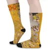 Calzini da donna Gustav Klimt Ritratto di Adele Kawaii Calze da uomo Qualità Running Spring Custom Anti sudore