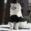 Cat Costumes Cat Maid Outfit Spring och Summer Cos Uniform förvandlas till kattkläder Pet Kjol Dog Clothes Supplies 220908281G