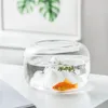 Zagięszone szklane ryby akwaria z lampami śnieżnymi Mini Fishbowl Małe zbiorniki terrarium miski saquatyczne dekoracje dla zwierząt domowych 240226