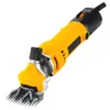 Dog Grooming 1000W PET CLIPPERS CLIPPER CLISPPER SHEARS 6 Speed ​​SPETS MOPSTERMANT
