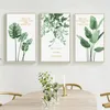 3PCS Framed Wall Art Green Plants Nordic Modern Wall Art Pictures for Living Room Decor Posters and Prints Canvas Painting2664