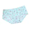 Silk Sexy B Ice Nylon Panties Brief Women Underwear Cartoon Floral Printed Cute Briefs Breathable Comfort Underpants Female Pants Girl GG rief riefs reathable