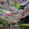 방수 종이 우산 중국 전통 공예 나무 핸들 오일 페이퍼 우산 웨딩 파티 무대 공연 소품 ZZ