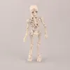 3-8 cm três fofos design de moda sr. Os ossos posam modelo de esqueleto com mesa de mesa de cachorro mini figura kids brinquedos colecionáveis presente na caixa