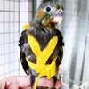 Andere Vogelbedarf 1 Stück Papageiengeschirr-Leine-Set Verstellbare Papageien Outdoor-Flugseil Anti-Biss-Training für Nymphensittiche Small239S