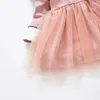 Girl Dresses Spring /Autumn Flower Girls Dress For Children Knitted Tulle Tutu Knit Princess Baby Child Clothing Pink