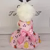 Vestuário para cães Fácil de usar Vestido para animais de estimação Verão Impressão de frutas com fita Bowknot para cães pequenos e médios Gatos Roupa de duas pernas Filhote de cachorro