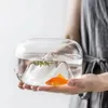 Zagięszone szklane ryby akwaria z lampami śnieżnymi Mini Fishbowl Małe zbiorniki terrarium miski saquatyczne dekoracje dla zwierząt domowych 240226