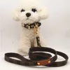 Set di guinzagli per collare in vera pelle Design di qualità Modello a 7 colori Cane di taglia piccola e media Teddy Chihuahua Bulldog francese Forniture per animali domestici266D