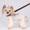 Huisdieren Halsbanden Riemen Klassiek Patroon PU-leer Verstelbaar Huisdieren Honden Kattenriemen Outdoor Persoonlijkheid Schattig huisdierhalsband cny2363211x