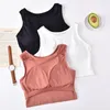 BRAS Sports Bra Yoga Brassiere Workout Gym Fitness Kvinnor Sömlös Högpåverkan POLDED underkläder Vest Wireless Tube Top