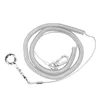 Other Bird Supplies Alloy Leg Ring Flexible Chain Belt Anti Bite Plastic Wire Rope Parrot Outdoor Flight Training338D