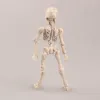 3-8 cm Trois design de mode mignon Mr. Bones Pose Modèle squelette avec table de table de bureau de bureau mini figure pour enfants