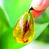 Natural Insect Stone Amber Baltic Pendant Necklace Home Decoration Stone Wedding Travel Gift291G