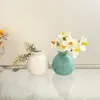 Vaser 1 datorer Flower Vase Hydroponics Ceramics Colorful Desktop Ornament Creative Plant Pots Home Decor Decoration