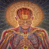 poster 32x24 17x13 Trippy Alex Grey Poster da parete Stampa Home Decor Wall Stickers poster Decal--003300v