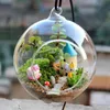 Vasen, transparent, Blumenständer, Hängevase, Terrarium, Behälter, Glas, Hydrokultur, Heimbüro, Hochzeitsdekoration, 225 m