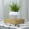 Magnetic suspension flower Levitating Air Bonsai Pot plant succulent patio decoration Desktop Flower Green C1111283y