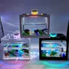 Small Table Top Creative Ecological Micro Landscape Tank Mini Tropical Fish Aquarium Terrarium287s