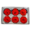 6st Box bevarade färska rosblommhuvuden Klass B 5-6 cm rosor torkad blomma handgjorda DIY Eternal Flower Arrangement Y01043070
