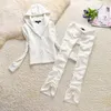 Velvet Tracksuit for Women Jacquard Composite Fabric Cardigan and Wide Ben Pants with Slanted Tickets Juicy Tracksuit Two Piece Set