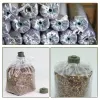 Bags 0.05mm Thickness Farm Mushroom Cultivation Growing Bags Kit for Edible Fungu Spawn Substrate High Temp Pre Sealable Garden Tools