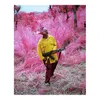 Richard Mosse Pography Birdland Web Poster Målning Tryck Heminredning inramad eller oramad popaper Material2582