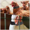 Dog Collars Cock Neck Strap Rooster Anti-crowing Collar Chicken Ring Anti-hook Belt For Poultry Farm