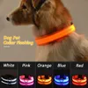 Collare per cani ricaricabile USB LED per animali domestici Lampeggiante luminoso di sicurezza Accendi collare per cani in nylon Collana per animali domestici anti-smarrimento Collari per cuccioli284Z