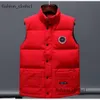 Designer canadien Down Vest Gooseness Pocket Vestes Parkas Zipper Badges Hommes Downs Casual Manteau Tops Outwear Multiple Couleur Puffer Jack 358