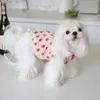 Dog Apparel Super Cute Strawberry Dress With Lace Pet Clothing Lovely Clothes Cat Teddy