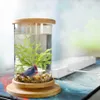 1 STKS Mini Glas Bamboe Basis Tank Draaien Decoratie Viskom Ecologische Fles Aquarium Accessoires220F