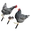 Garden Decorations 3 Pcs Decor Pheasant Decoration Ornaments Acrylic Yard Outdoor Chicken Stake