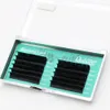 Qeelasee 4 boxes of Auto Flowering Rapid Blooming Fan Easy Eyelashes 240301