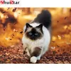 5d DIY Diamond Målning Full Display Animal White Cat Diamond Embroidery Full Square Mosaic Bild av Rhinestone Decor XY1245D