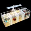 Akwaria Kreatywne butta hodowla inkubatora inkubatora izolacja pudełko wodne pudełko wodne małe akrylowe ekologiczne akwarium256f