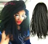 Cały mongolski syntetyczne włosy warkocze 18 -calowe afro perwersyjne Curly Marley Braid Hair Extensions Marley szydełko warkocze Extens59990779