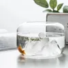 Zagięszone szklane ryby akwaria z lampami śnieżnymi Mini Fishbowl Małe zbiorniki terrarium miski saquatyczne dekoracje dla zwierząt domowych 240226