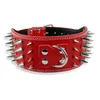 Dog Collars & Leashes Inch Wide Spikes Studded Leather Pet Collar For Large Breeds Pitbull Doberman M L XL SizesDog165e