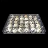 12 Pcs 24 Grids Plastic Egg Flat Quail Storage Box Packaging 240307