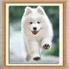 DIY 5D Partial Diamond Embroider Dog Square Diamond Målning Cross Stitch Kits Diamond Mosaic Home Decoration A155275G