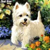 Tam Kare Elmas 5d DIY Elmas boyama Pet Köpek Nakış Çapraz Dikiş Rhinestone Mozaik Resim Dekoru Hediye278r