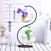 Akvarier Goldfish Ball Hanging Aquarium Fish Tank Bowl Ecosphere Flower Plant Vase Table For Small Pet Supplies Accessories236p