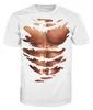 Poitrine Six Pack Abs Fitness Muscle blague drôle Tshirt01231490695