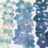 120 Stück gepresste blaue Serie getrocknete Hortensien Macrophylla Blumenpflanzen Herbarbelege für Schmuck, Handyhülle, Lesezeichen, DIY, 1026289C