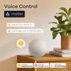 LELLKI MATER MATE PREIT Pasek KR Usb Smart Plug Home Timer Outlet 16A 220V Korea Eu -Gniazdo Cord SmartThings HomeKit 240228