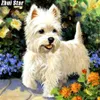 Full Square Diamond 5D DIY Diamond Painting Pet dog Embroidery Cross Stitch Rhinestone Mosaic Painting Decor Gift277h